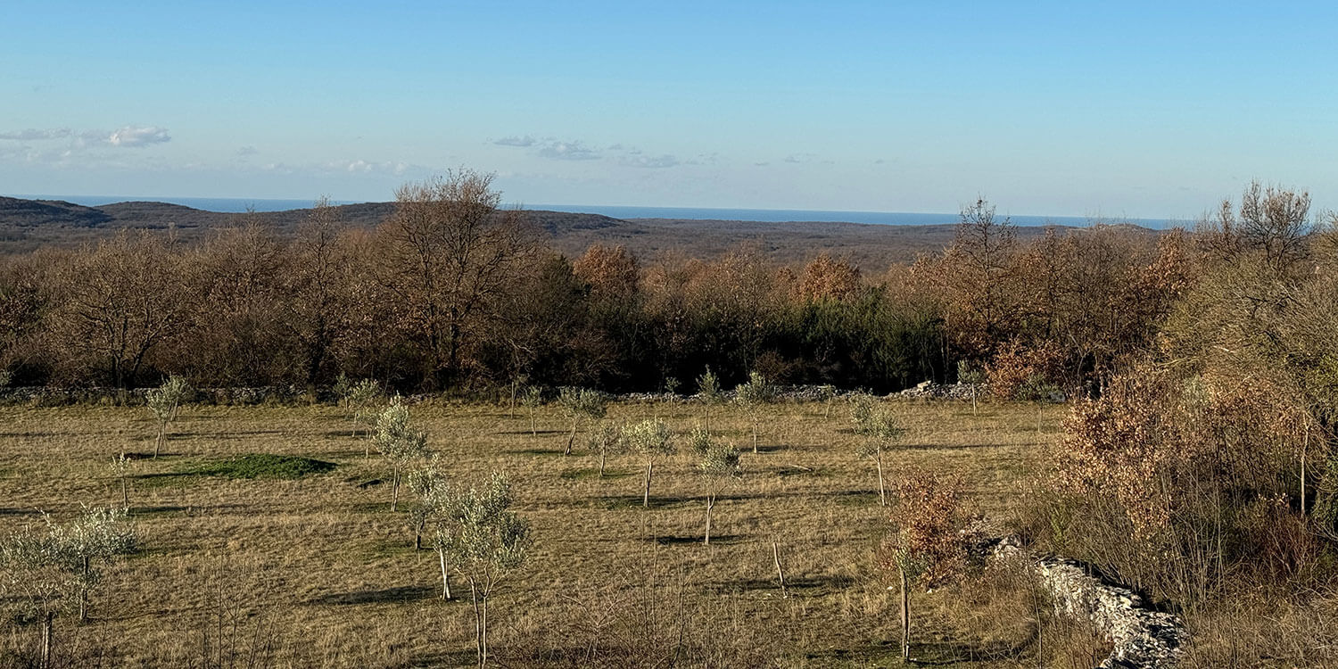 Surroundings